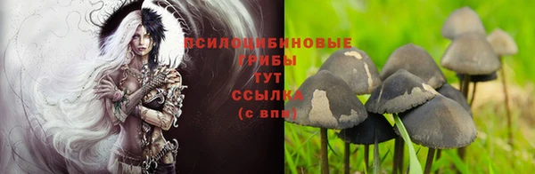 первитин Алексин
