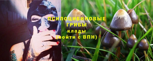 не бодяженный Алзамай