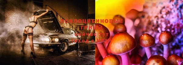 первитин Алексин